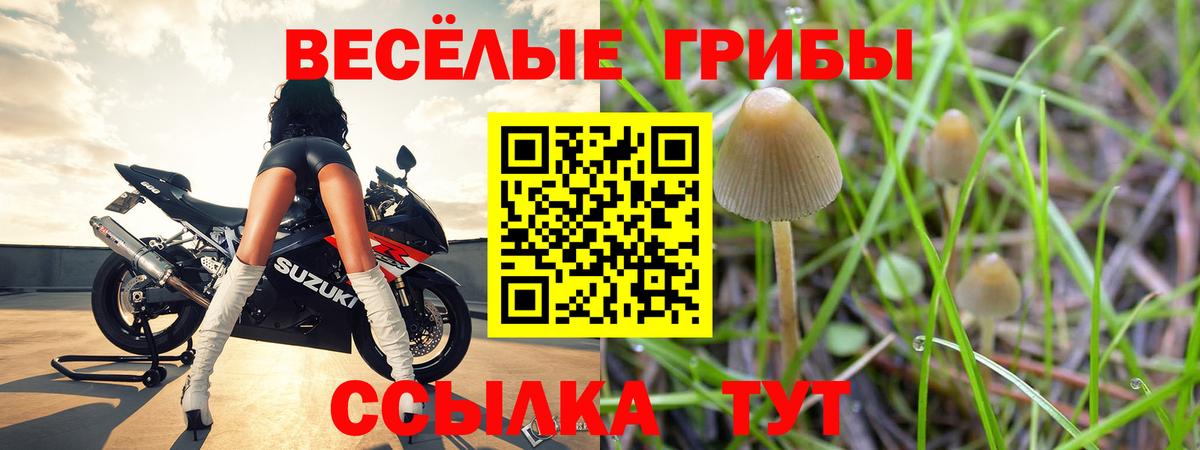 Галлюциногенные грибы мухоморы  Галлюциногенные грибы мухоморы  Вход с VPN  Избербаш 
