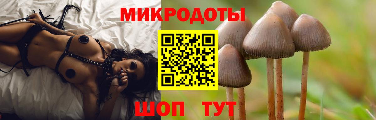 Галлюциногенные грибы GOLDEN TEACHER Избербаш
